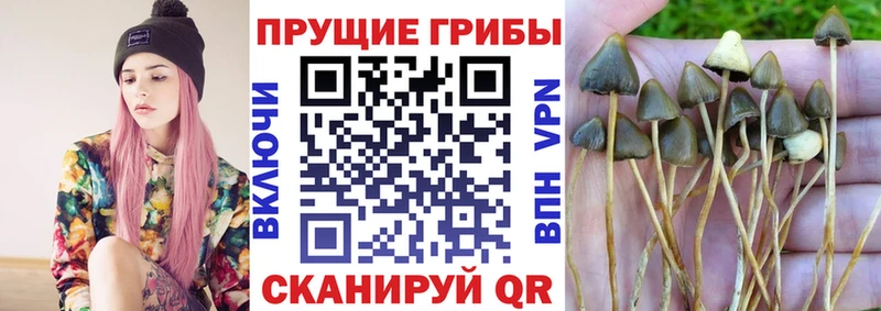 Псилоцибиновые грибы прущие грибы Дальнереченск