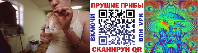 Псилоцибиновые грибы мухоморы  где купить   Дальнереченск 